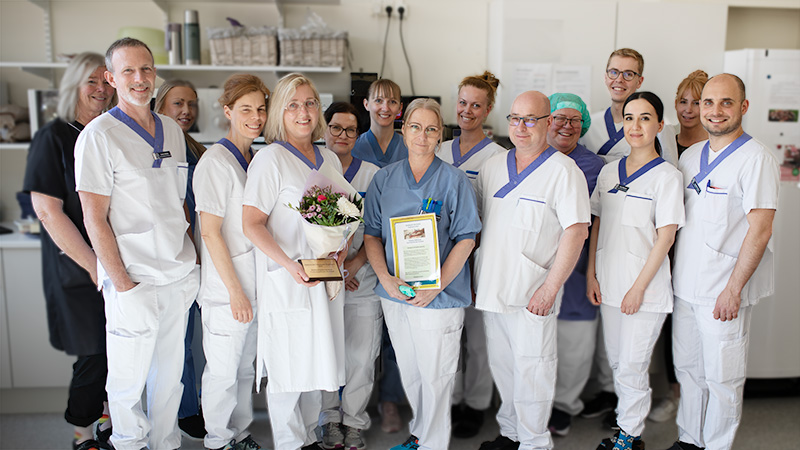 Personal från käkkirurgiska kliniken, Folktandvården, är en av två vinnare av Hygienpriset 2024.